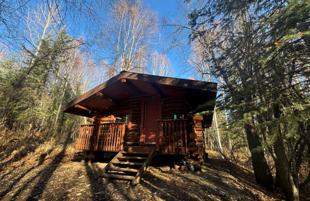 Dry cabin off Goldstream / Dog friendly photos photos