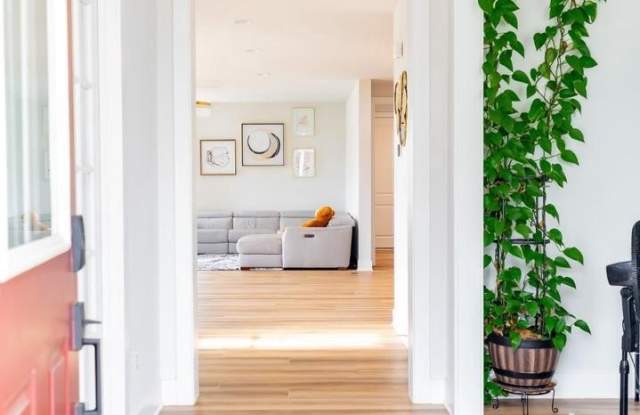 41914 SPRING AIR Drive Gallery 4