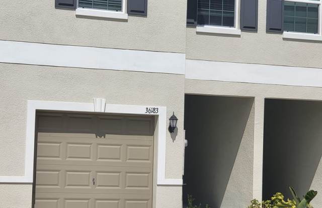 New townhome in Zephyrhills photos photos