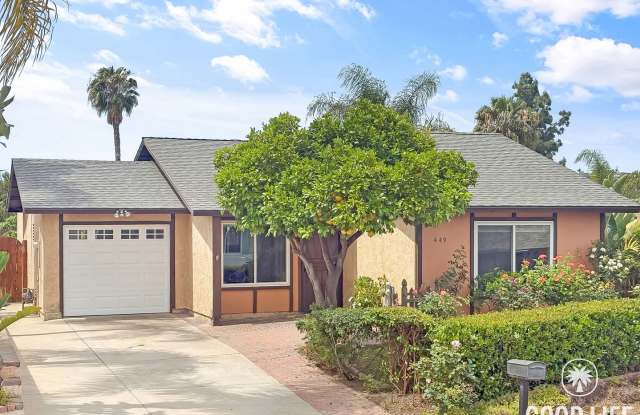 Renovated San Marcos Home with Fruit Trees & Large Yard photos photos