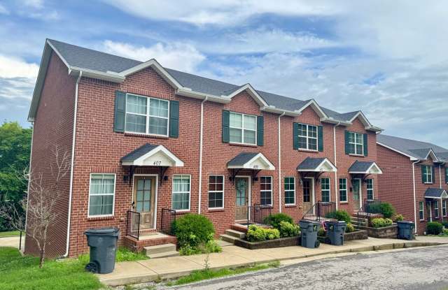 Luxury Townhouse! 2 Bed/2.5 Bath, 1 Car garage, Basement, Downtown!! W/D Included! photos photos