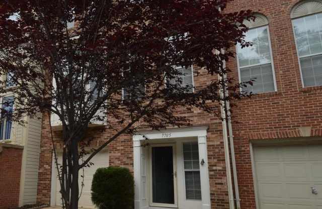 7705 WILEY CREEK Way Gallery 1
