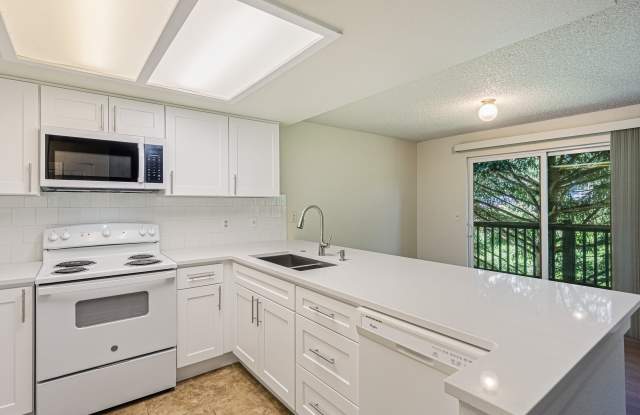 218 Seattle Boulevard South#D - 218 Seattle Boulevard South, Pacific, WA 98047