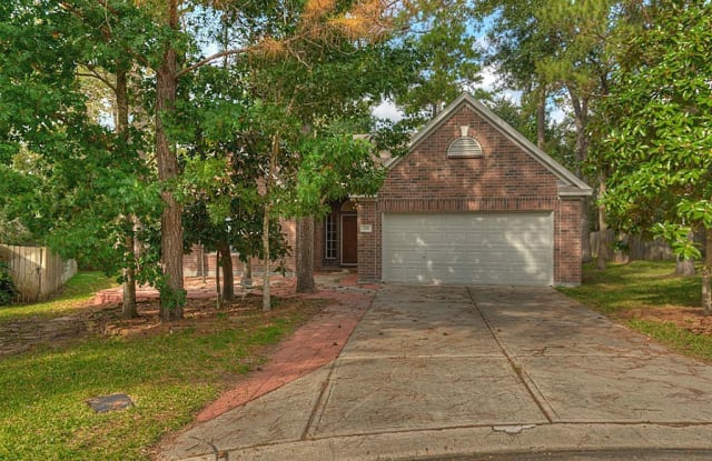 314 Leafsage Court - 314 Leafsage Court, The Woodlands, TX 77381