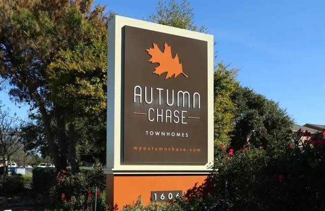 Autumn Chase Gallery 4