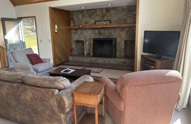 417 Chalet Village Dr Gallery 3