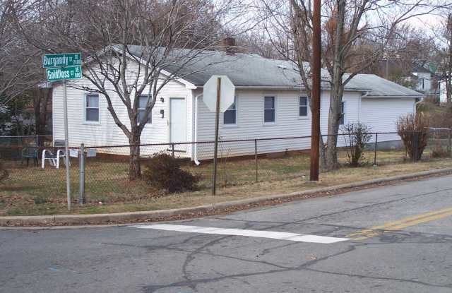 847 GOLDFLOSS STREET photos photos