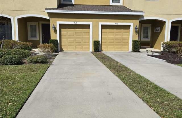 7045 TOWNE LAKE ROAD - 7045 Towne Lake Road, Progress Village, FL 33578