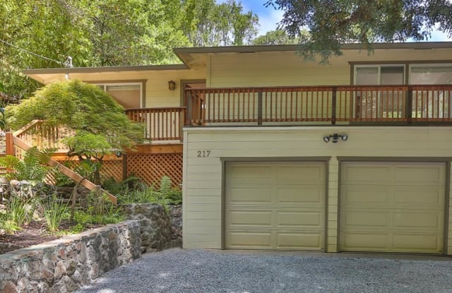 217 Bungalow Avenue - 217 Bungalow Avenue, San Rafael, CA 94901