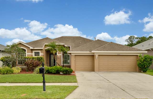12823 Stanwyck Circle - 12823 Stanwyck Circle, Keystone, FL 33626