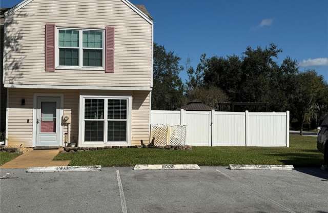 16335 RAMBLING VINE DRIVE W - 16335 Rambling Vine Drive West, Northdale, FL 33624