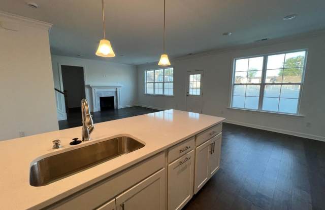 Spacious 4BR House in Chesapeake Gallery 1