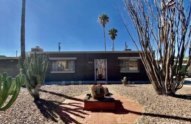 4402 South Avenida Don Arturo photos photos