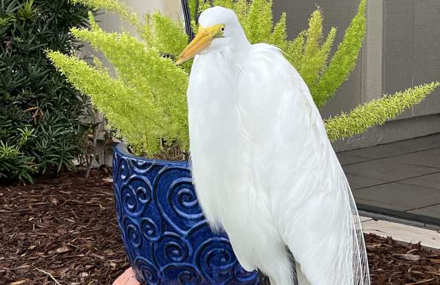 6180 Sun Boulevard photos photos