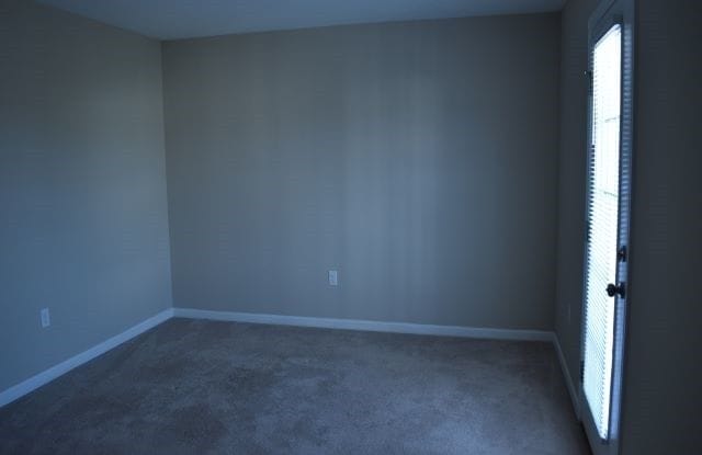5 Kimberley Street - 1 Gallery 3