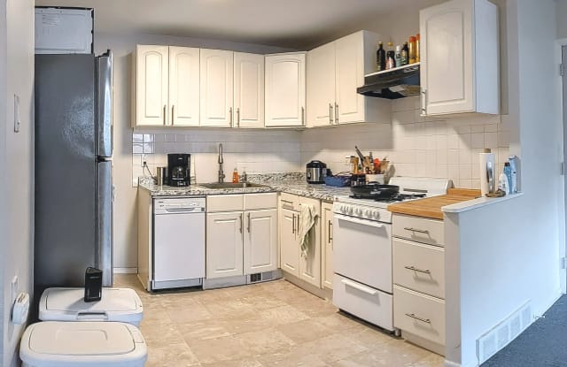 344 Ripka Street - 344 Ripka Street, Philadelphia, PA 19128