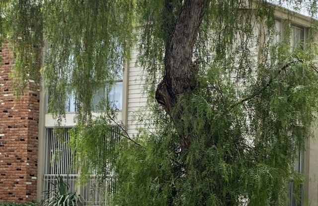 1138 11TH St photos photos