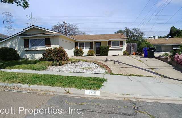 4431 Mt. Castle Ave. - 4431 Mount Castle Avenue, San Diego, CA 92117