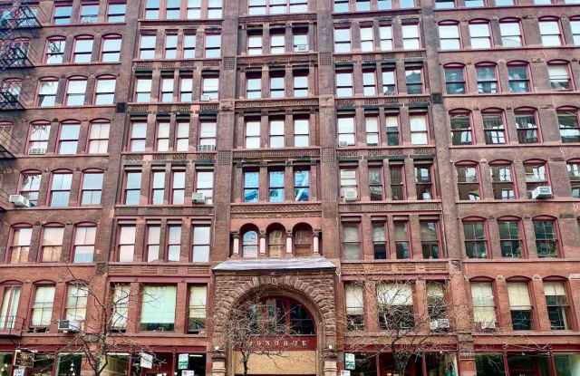 Printer’s Row 1 Bed / 1 Bath Condo For Rent! Available for May Lease Start! In-Unit Laundry! - 711 South Dearborn Street, Chicago, IL 60605