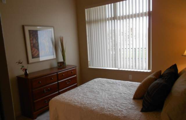 Dahlia Square - Senior Housing Gallery 4