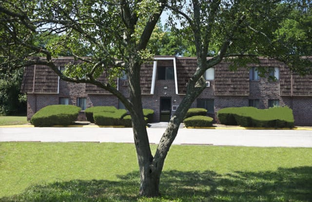 Sandy Lane photos photos