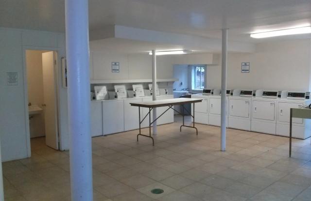 Kenco Lavista photos photos