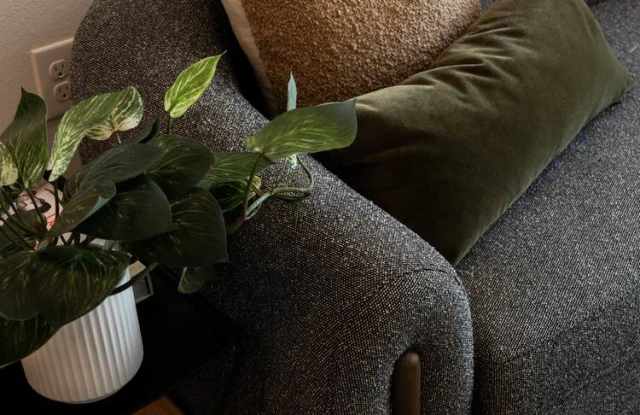 The Zenith photos photos The Zenith photos photos