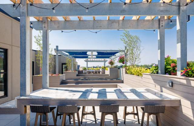 Illustrator photos photos