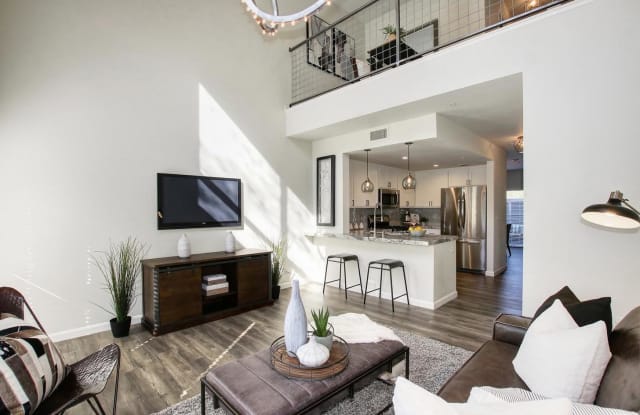 Lofts at Chestnut Gallery 4