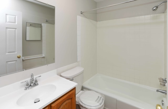 Evergreen East - 1291 photos photos