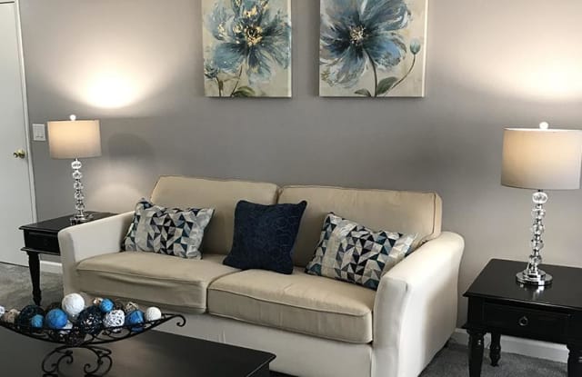 Reno Vista Gallery 3