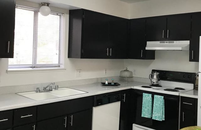 Reno Vista photos photos