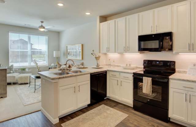 The Travis photos photos