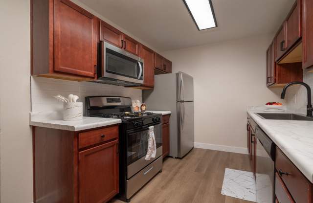 Artista photos photos