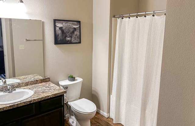 Falcon Heights Apartments Gallery 4