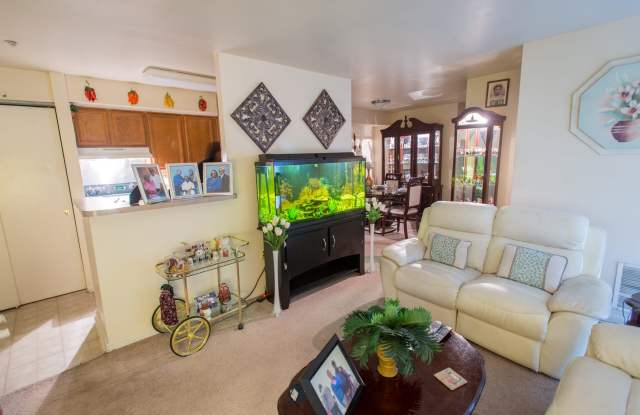 Summer Ridge Gallery 4