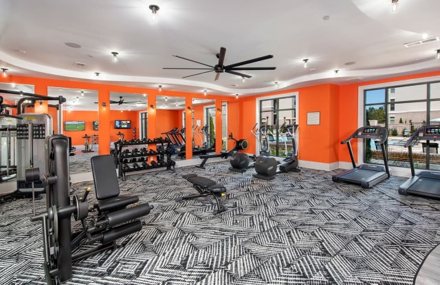 Ten 45 Suwanee Luxury Apartments Gallery 3