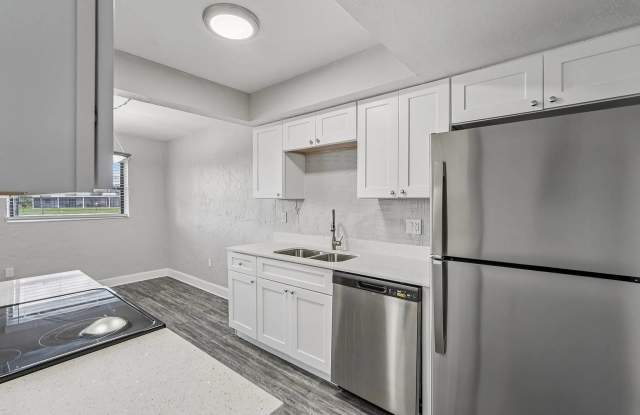 The Corals photos photos The Corals photos photos