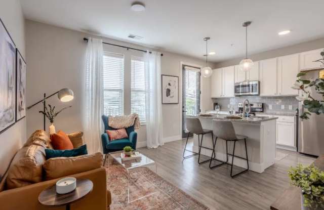 Triumph photos photos