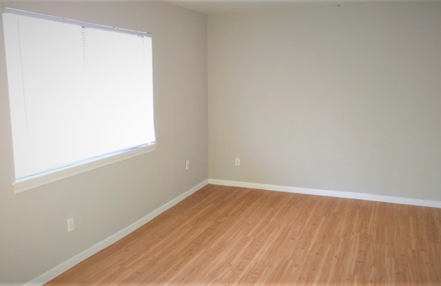 Fulton Plaza Gallery 2