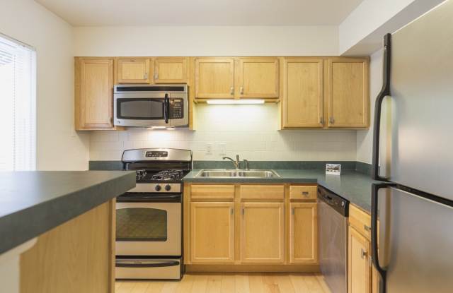 Ash Tree - Student Housing photos photos