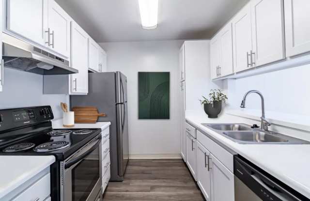 The Ralston at Belmont Hills Gallery 4