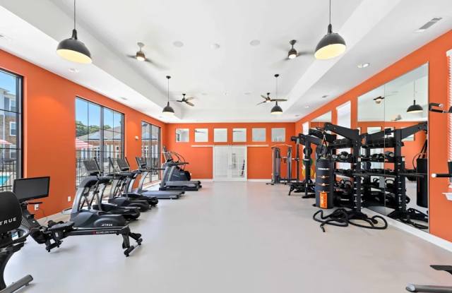 South and Twenty photos photos