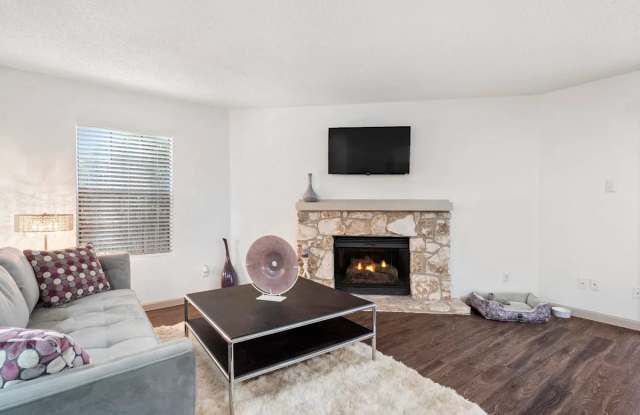 Seraphina Castle Hills photos photos