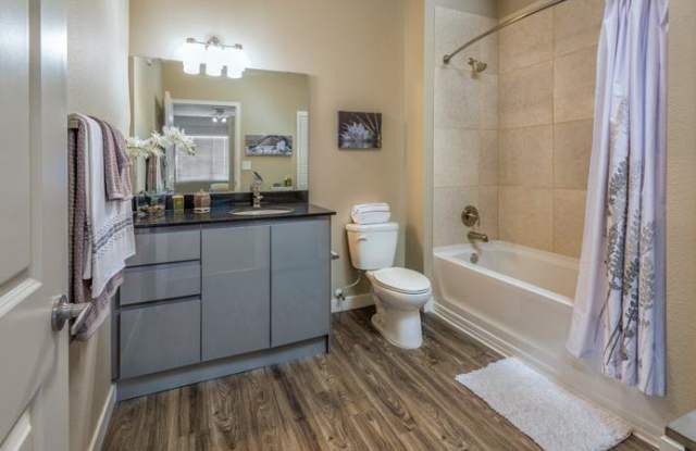 The Nolen Luxury Apartments Gallery 2
