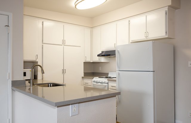 Birchmont Apartment Homes - Senior Housing Gallery 3