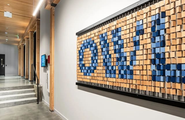 Owl Gallery 2
