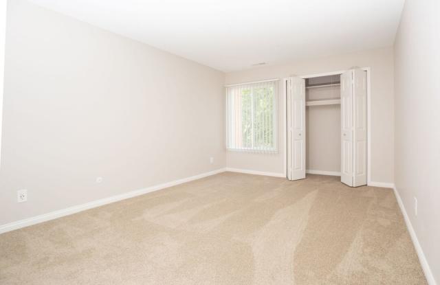 The Lake Shore Apartments Gallery 4