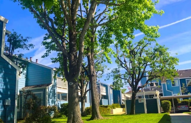 Mariner Village photos photos