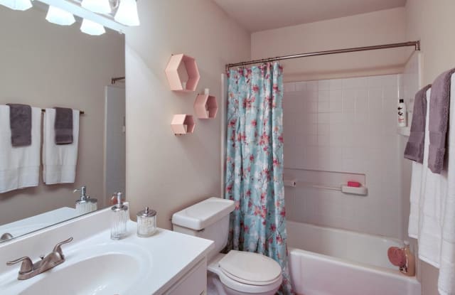 Lakeville Townhome Apartments Gallery 3
